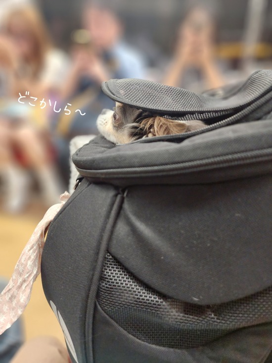 24-07-24-20-11-40-871_deco