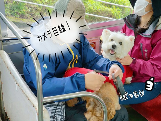 21-10-26-11-38-34-563_deco