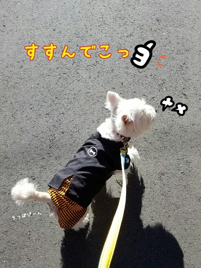 ã¦ã¨ã¹ãã£ããã©ã³ã«