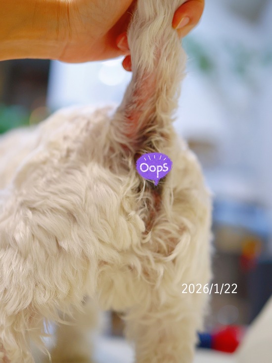 26-01-24-07-15-17-673_deco