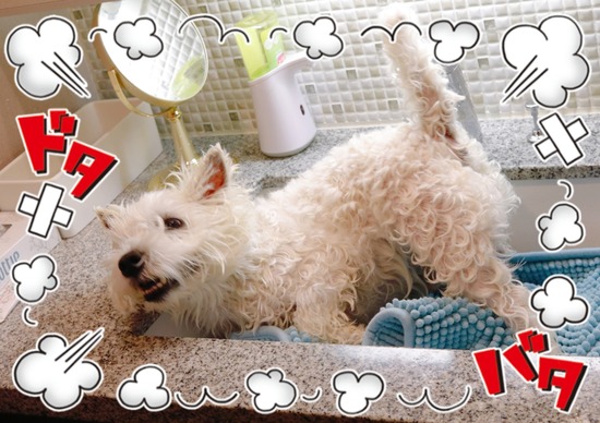 21-12-08-16-11-22-866_deco