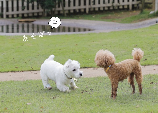 18-09-20-09-40-24-796_deco