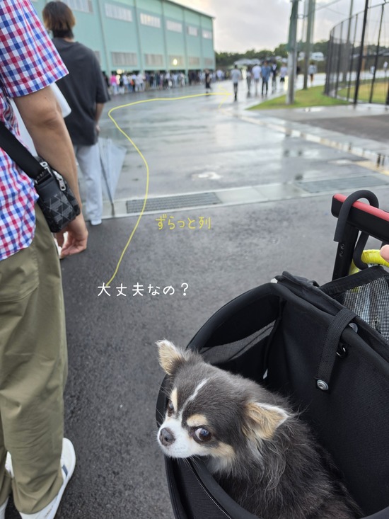 　【熊野花火大会】待機中なう。波乱。