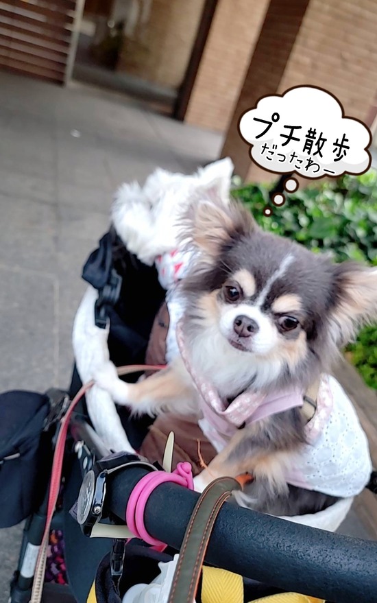 24-07-19-18-25-22-257_deco