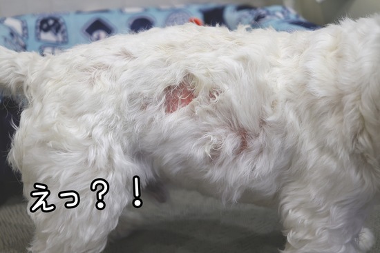 25-12-03-07-16-35-538_deco