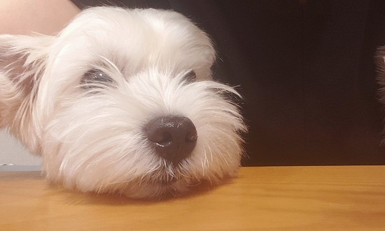 2020-10-06-082706648