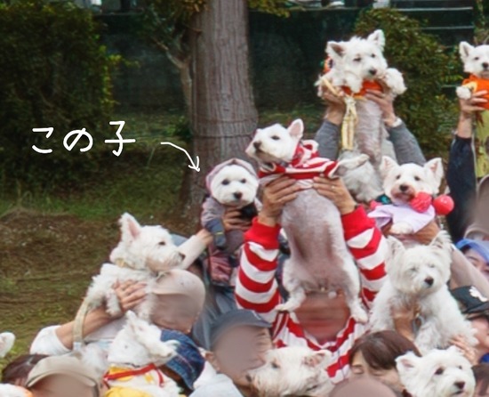 25-11-04-21-37-14-324_deco