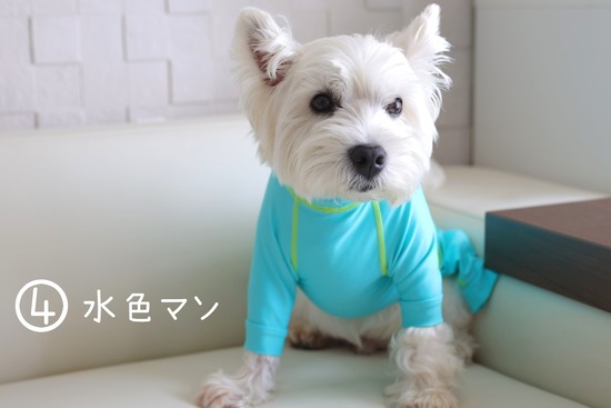 22-06-30-20-55-48-760_deco