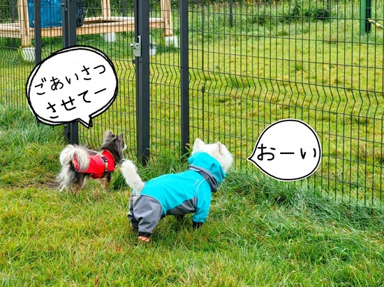 21-10-26-13-11-00-906_deco