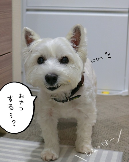 25-12-25-11-58-32-419_deco