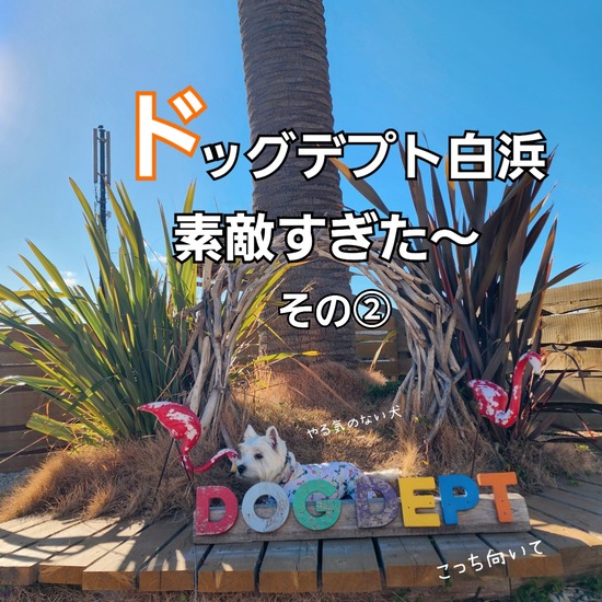 ドッグデプト　ガーデンリゾート　その②