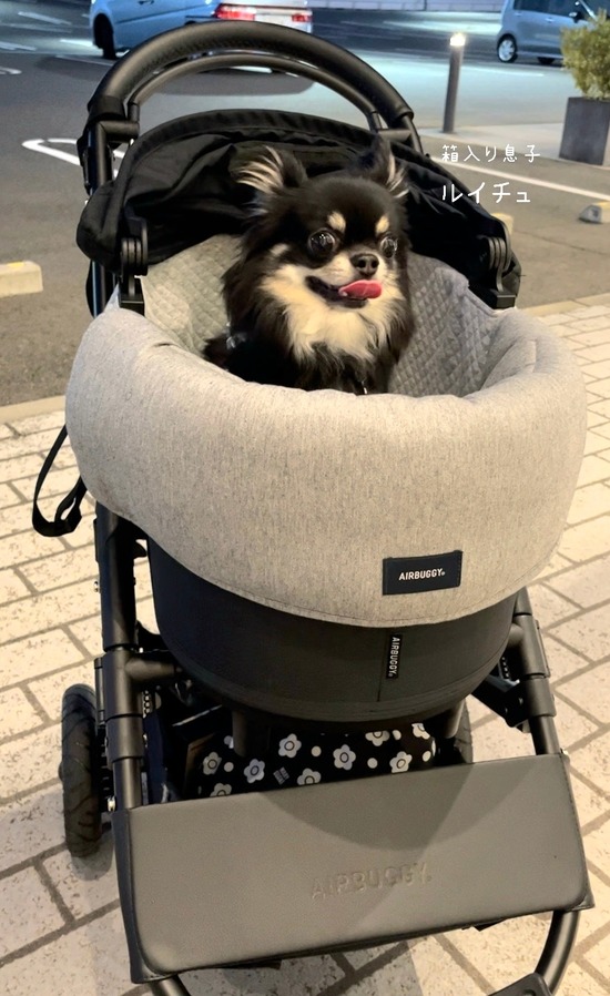 25-12-30-07-33-50-611_deco