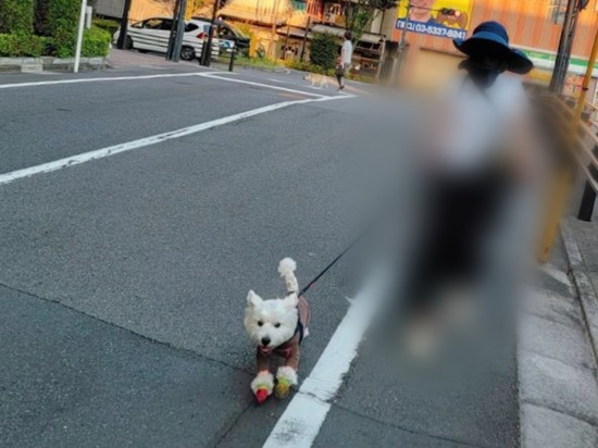 Point Blur_20220701_071619