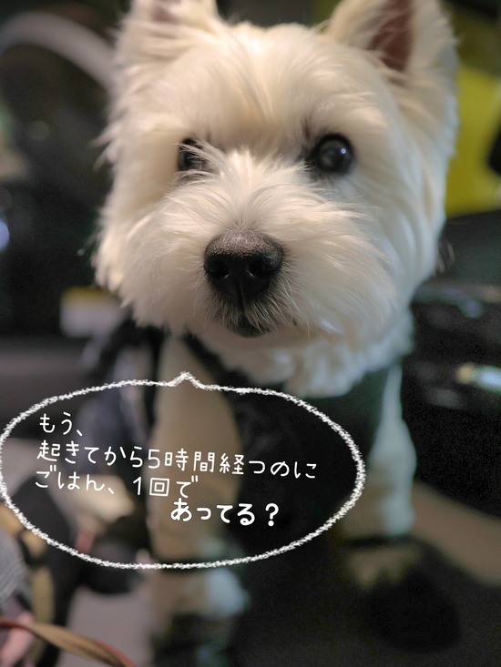 26-01-12-09-13-55-670_deco