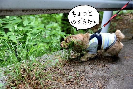 24-06-06-20-27-46-808_deco