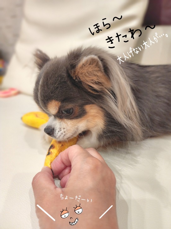 22-10-31-12-04-28-201_deco