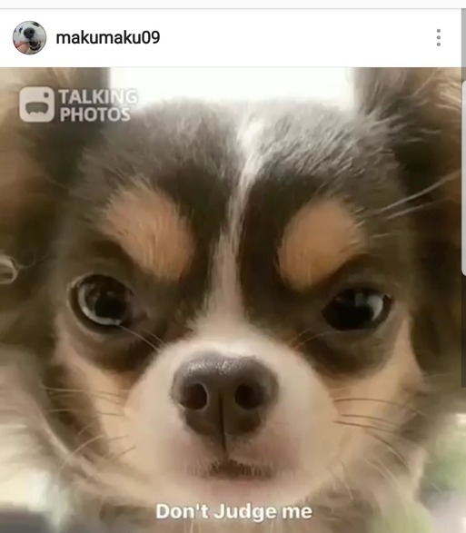 Screenshot_20180519-151005_Instagram