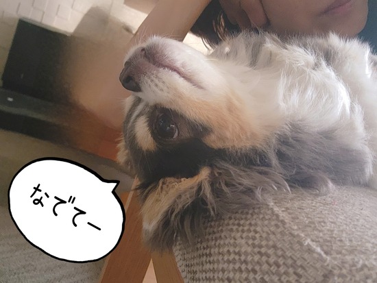 24-06-07-07-11-31-186_deco