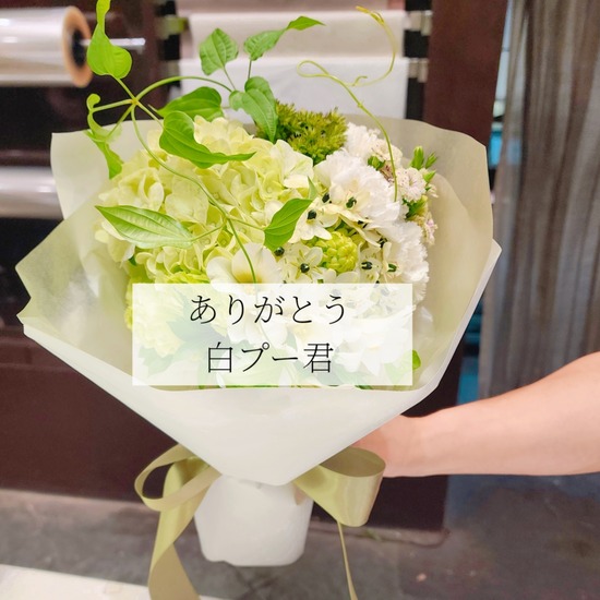 FUGAと、白プーの君、ありがとう。