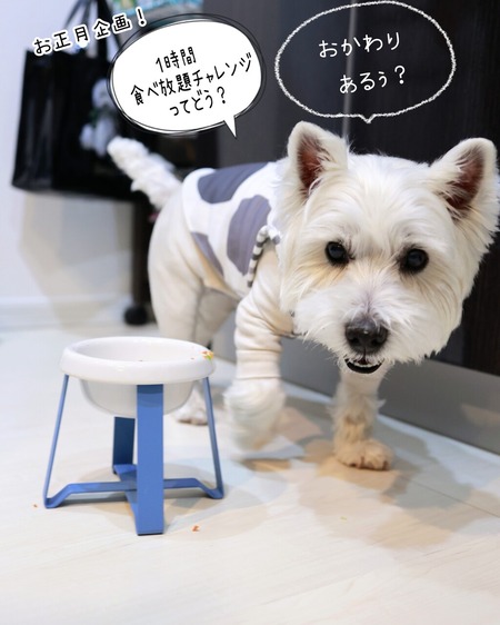 26-01-07-11-30-14-055_deco