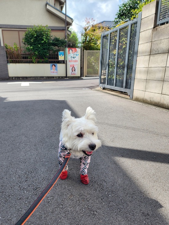 24-09-23-19-18-34-441_deco