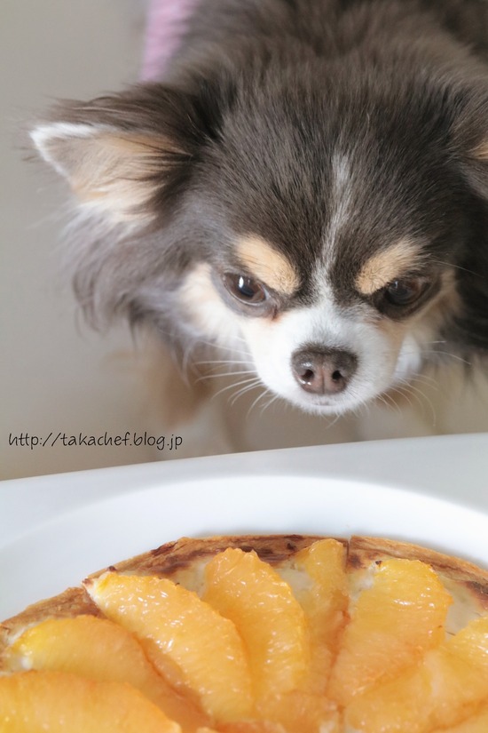 20-04-30-10-13-34-821_deco