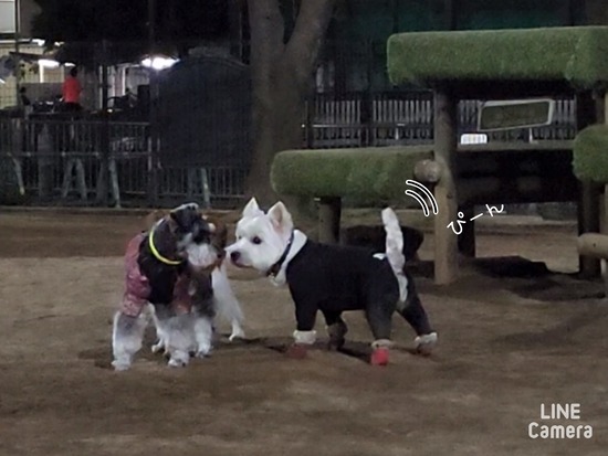 24-03-15-10-30-50-892_deco