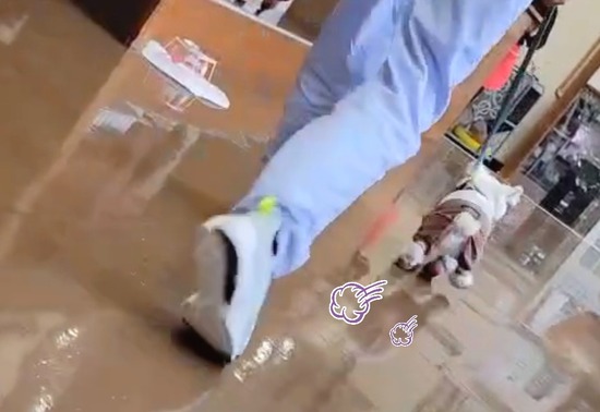 22-06-14-20-19-25-972_deco