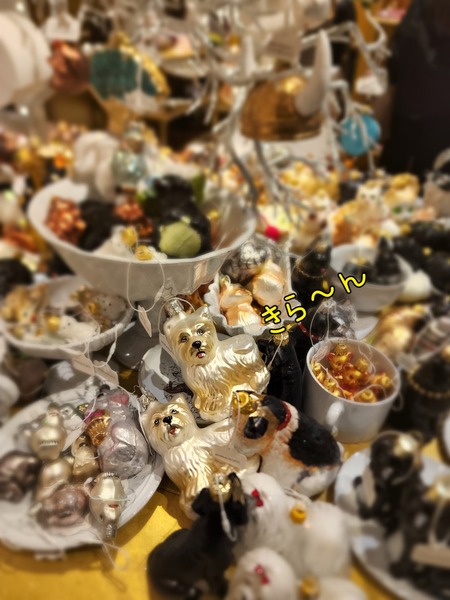 22-11-20-10-35-04-583_deco