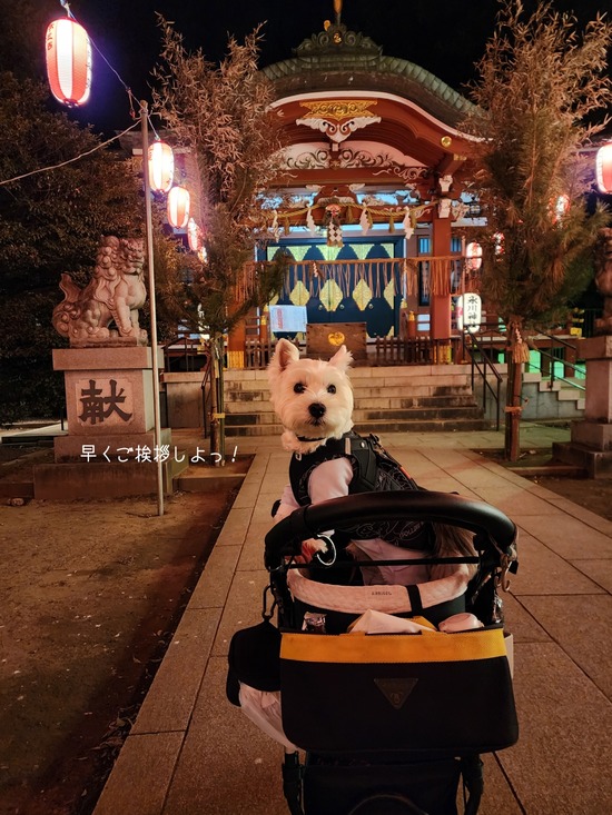 26-01-09-06-18-03-649_deco