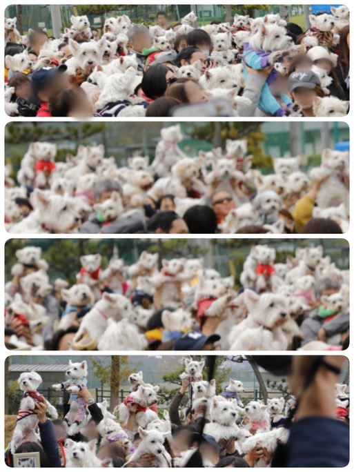 Point Blur_20181108_174340