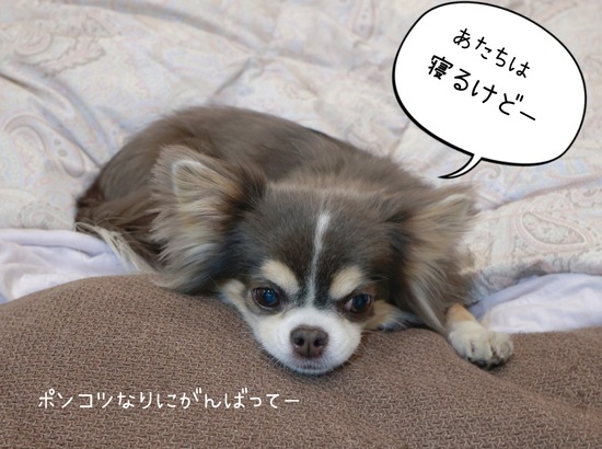 26-01-18-22-14-02-381_deco