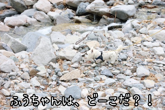 24-05-27-08-52-54-250_deco