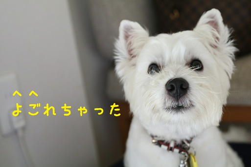 【知育おもちゃ】あっ・・・　お口のまわり