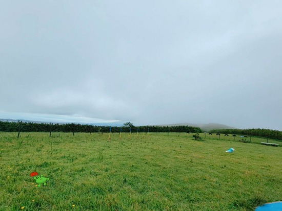 21-10-26-11-48-15-941_deco