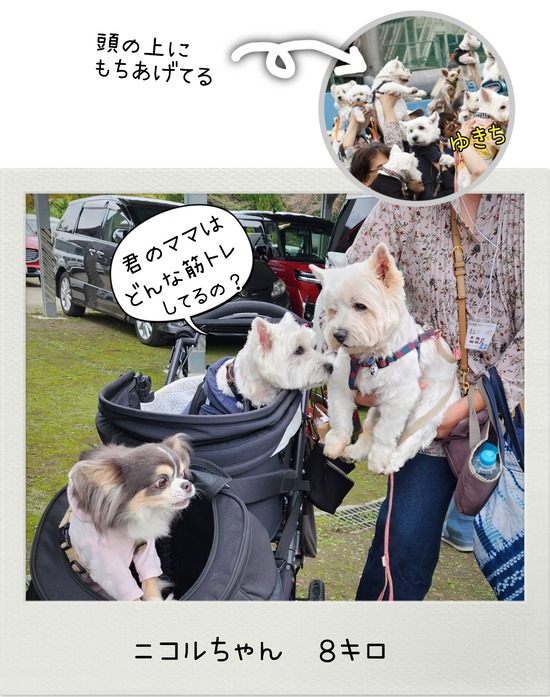 24-10-29-19-50-14-062_deco