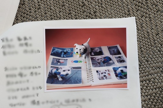 Point Blur_20221230_174153