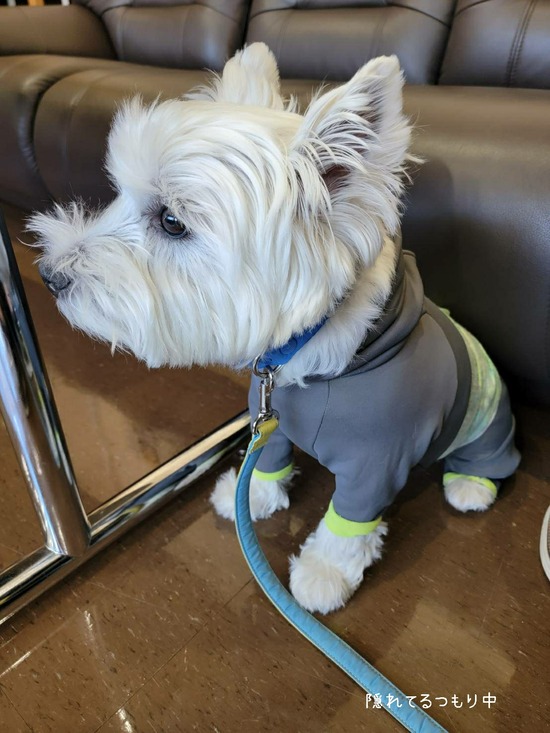 21-12-03-09-22-21-248_deco