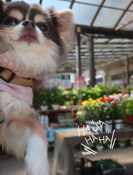 24-07-18-14-09-37-729_deco