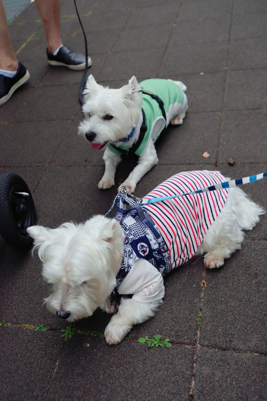 21-06-17-19-52-05-112_deco