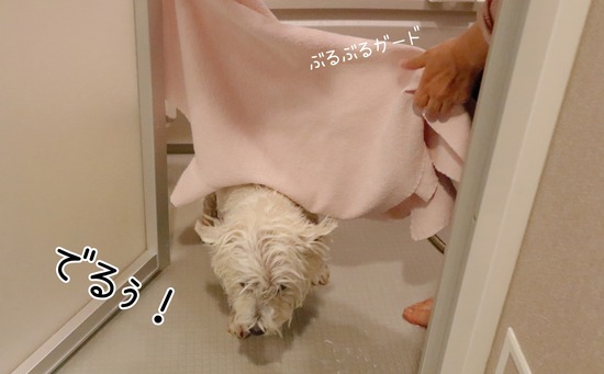 21-12-09-10-58-48-034_deco