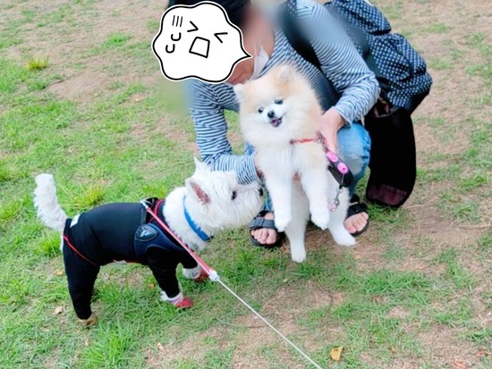 22-05-13-09-55-59-885_deco