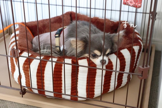 23-05-13-09-17-07-706_deco