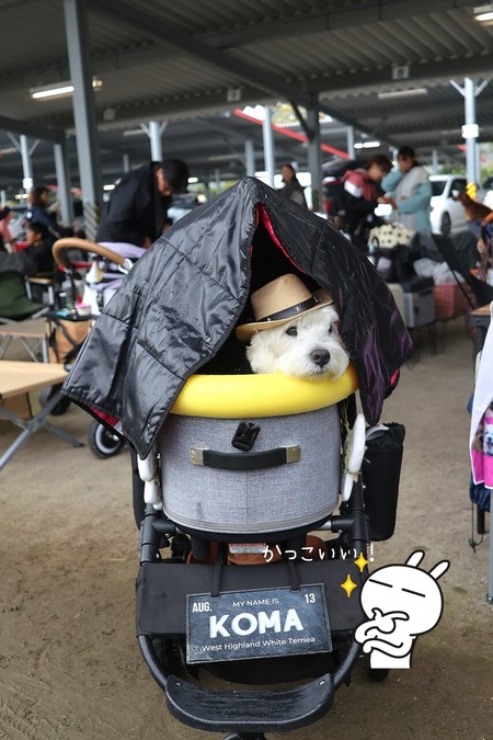 25-10-27-17-46-13-465_deco