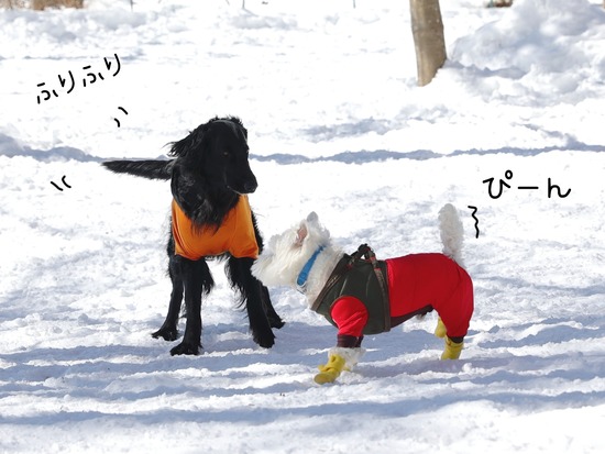 22-03-02-09-26-18-522_deco