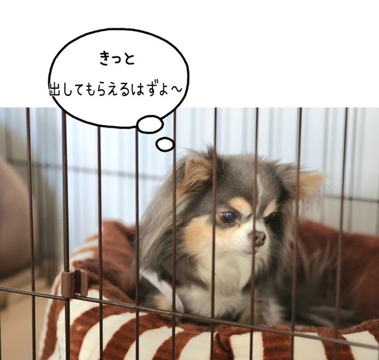 23-05-13-09-12-23-044_deco