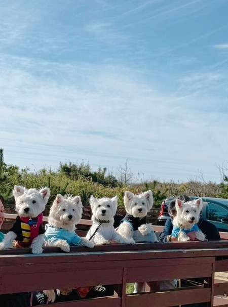 25-11-24-09-13-24-055_deco