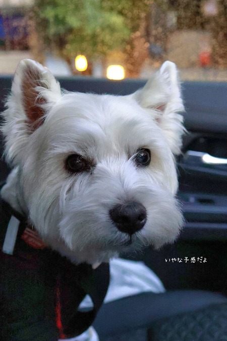 25-12-24-21-00-57-774_deco