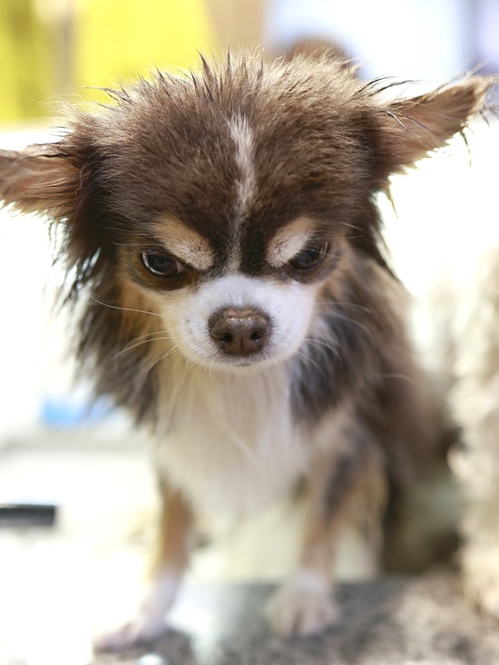 25-12-31-07-24-45-019_deco