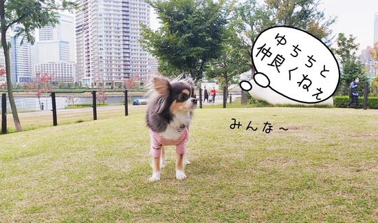 20-10-28-23-20-47-241_deco